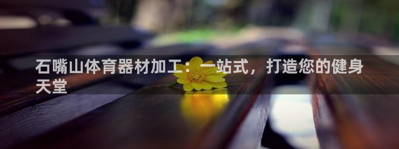 耀世挑战第三关怎么过：石嘴山体育器材加工：一站式，打