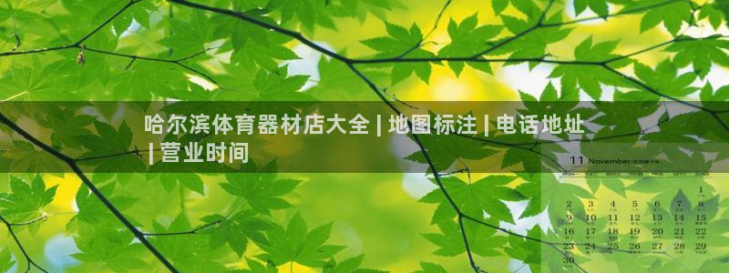 耀世平台注册登录不上怎么回事：哈尔滨体育器材店大全 