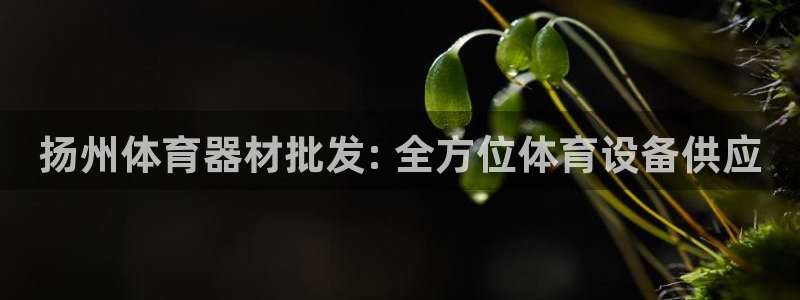 耀世天下的微信名字好吗：扬州体育器材批发: 全方位体