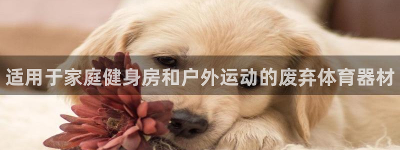 耀世娱乐平台注册地址：适用于家庭健身房和户外运动的废