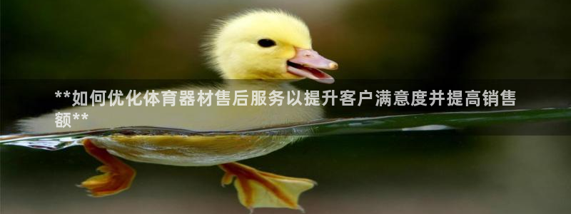 耀世娱乐是不是很黑暗：**如何优化体育器材售后服务以