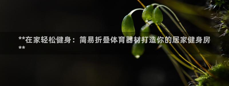 耀世平台注册网址是什么意思：**在家轻松健身：简易折