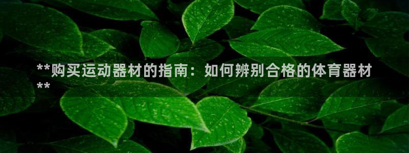 耀世娱乐软件下载官网：**购买运动器材的指南：如何辨