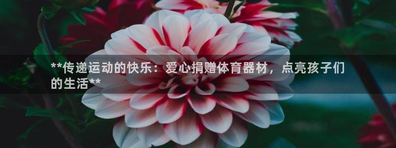 耀世平台网址：**传递运动的快乐：爱心捐赠体育器材，