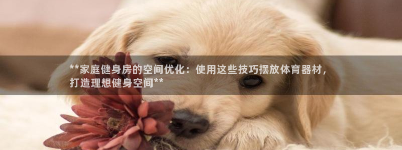 耀世平台会员中心：**家庭健身房的空间优化：使用这些
