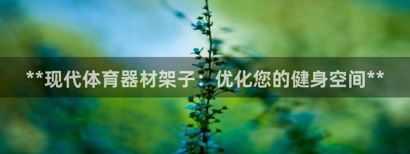 四川耀世发展集团：**现代体育器材架子：优化您的健身