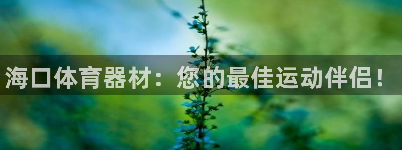 耀世天下的是什么意思：海口体育器材：您的最佳运动伴侣