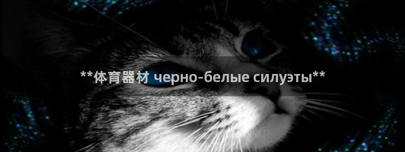 耀世微光歌曲下载：**体育器材 черно-белы