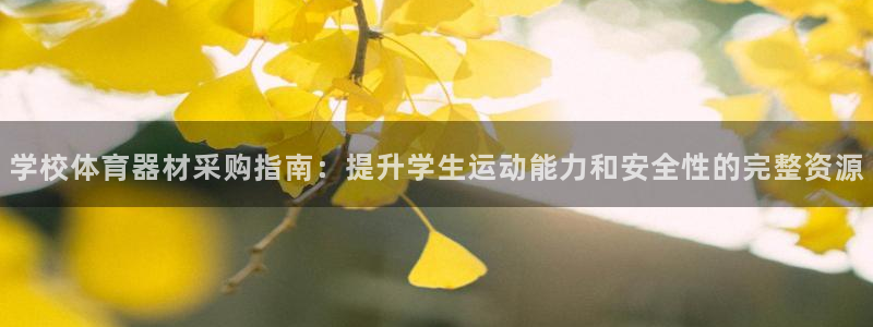 耀世国际平台正规吗安全吗可信吗：学校体育器材采购指南