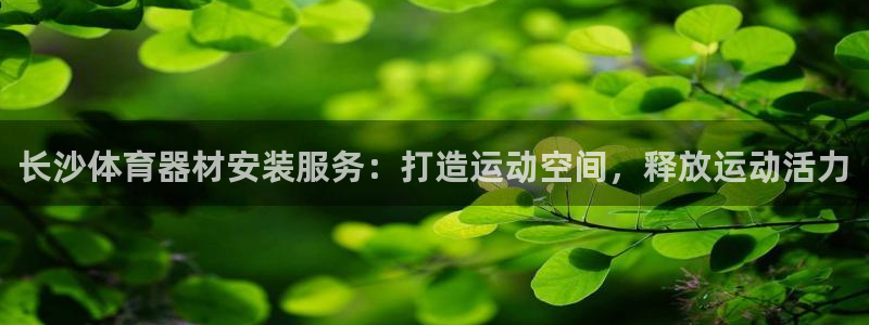 耀世集团耀宗：长沙体育器材安装服务：打造运动空间，释