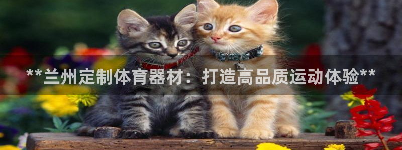 耀世平台代理注册登录失败：**兰州定制体育器材：打造