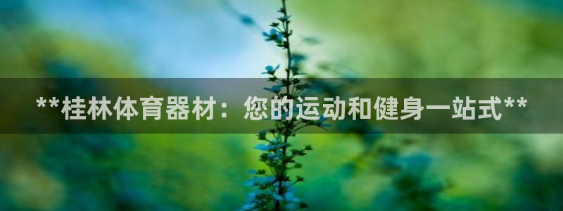 耀世集团的创始人是谁：**桂林体育器材：您的运动和健
