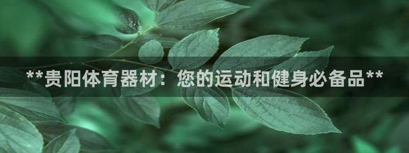 耀世平台先 585341 耀世：**贵阳体育器材：您