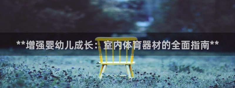 耀世娱乐官方网站入口：**增强婴幼儿成长：室内体育器