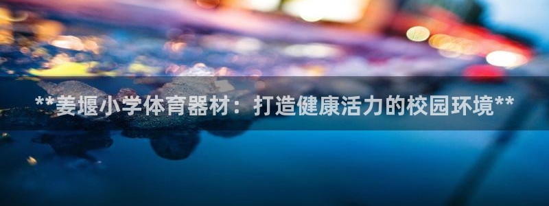 耀世娱乐辅助：**姜堰小学体育器材：打造健康活力的校
