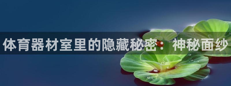耀世辉煌：体育器材室里的隐藏秘密：神秘面纱