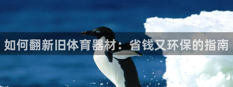 耀世娱乐建334-82 主管：如何翻新旧体育器材：省