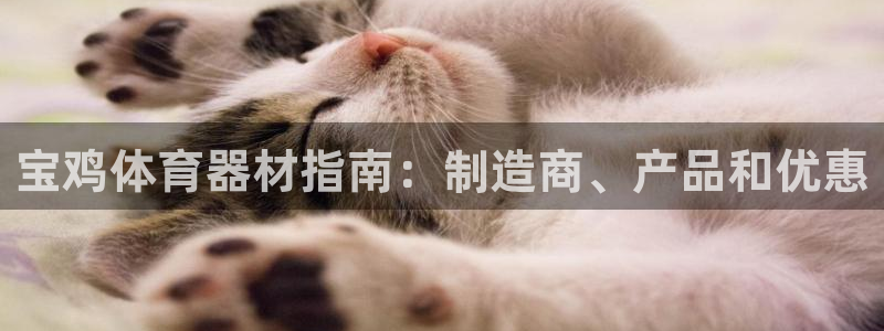 耀世集团四个字的图片：宝鸡体育器材指南：制造商、产品