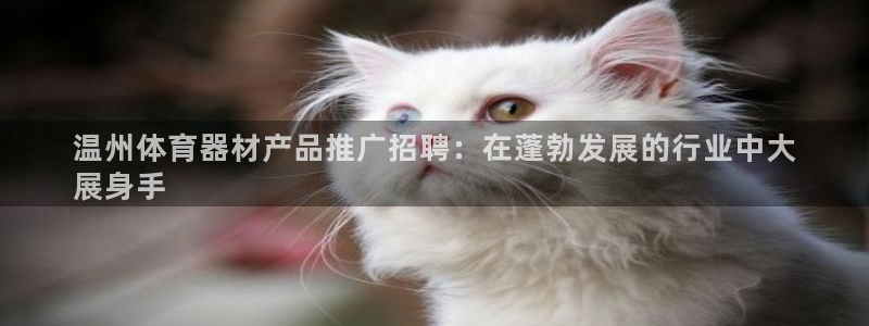 耀世平台代理怎么样可靠吗：温州体育器材产品推广招聘：