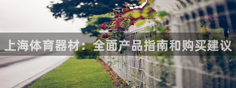 耀世开盘是什么意思：上海体育器材：全面产品指南和购买
