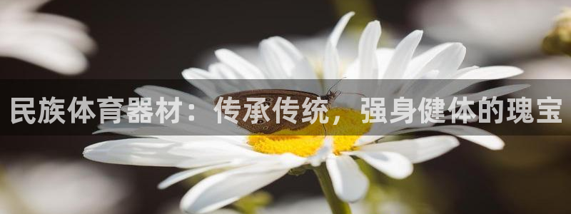 耀世娱乐总代：民族体育器材：传承传统，强身健体的瑰宝