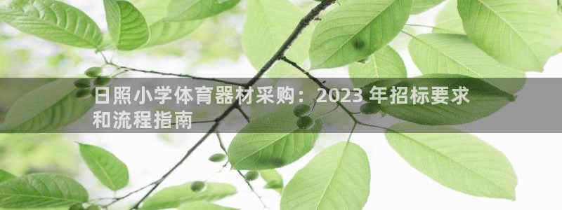 耀世娱乐代理什么待遇：日照小学体育器材采购：2023