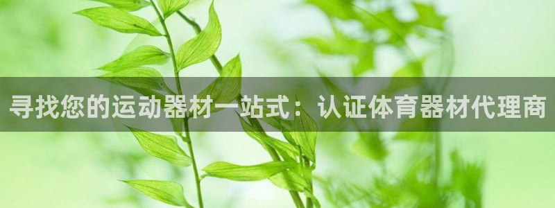 耀世娱乐官网网站：寻找您的运动器材一站式：认证体育器