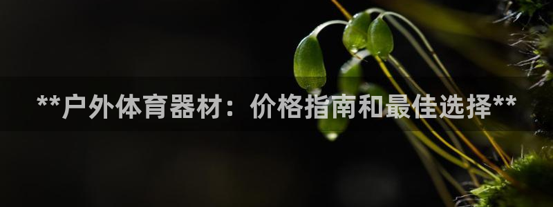 耀世平台的运营模式是什么：**户外体育器材：价格指南