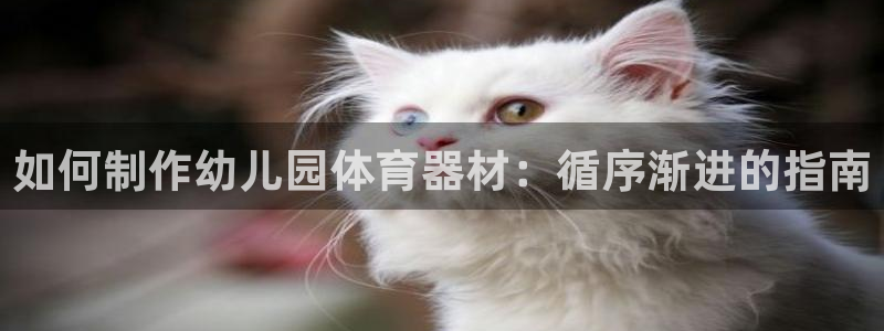 耀世天下的网名是什么意思啊：如何制作幼儿园体育器材：