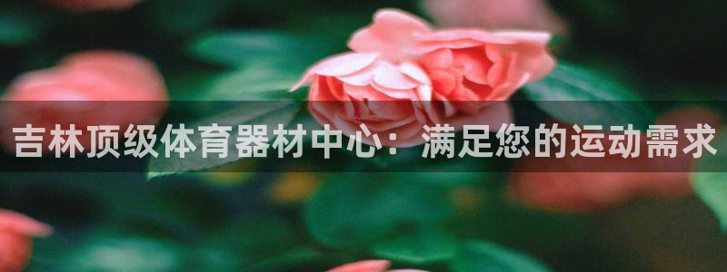 耀世娱乐网址是什么啊：吉林顶级体育器材中心：满足您的