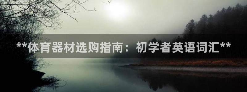 耀世平台app下载安装：**体育器材选购指南：初学者