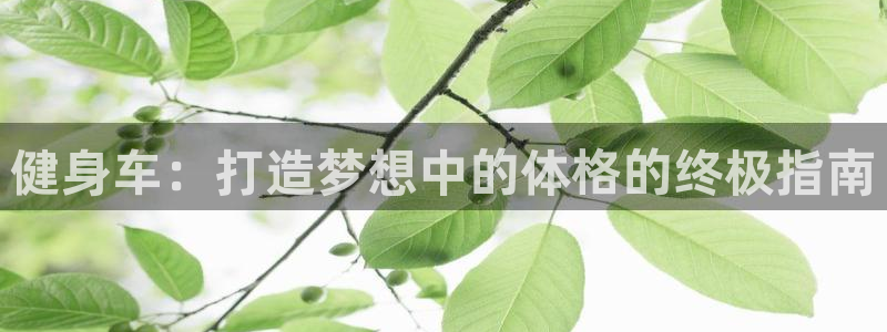 耀世娱乐是不是很黑暗：健身车：打造梦想中的体格的终极