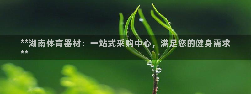 耀世微光mp3下载：**湖南体育器材：一站式采购中心