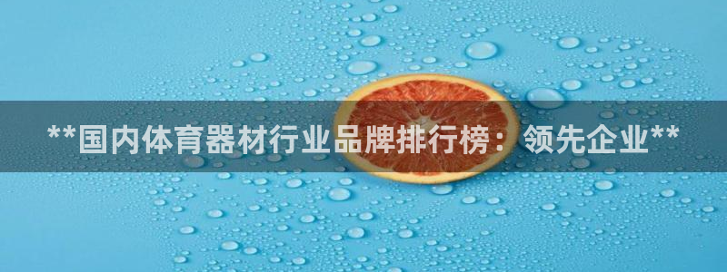 耀世娱乐登录地址在哪：**国内体育器材行业品牌排行榜