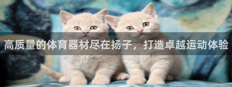 耀世国际平台正规吗可信吗：高质量的体育器材尽在扬子，