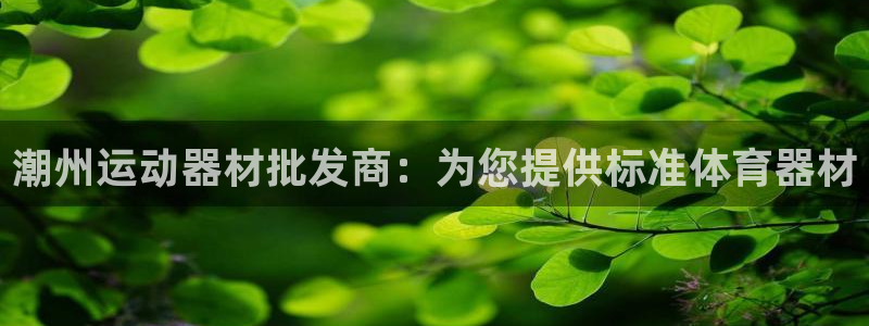 耀世娱乐间7O777：潮州运动器材批发商：为您提供标