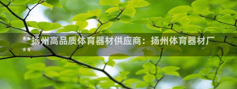 耀世娱乐注册开户要钱吗：**扬州高品质体育器材供应商