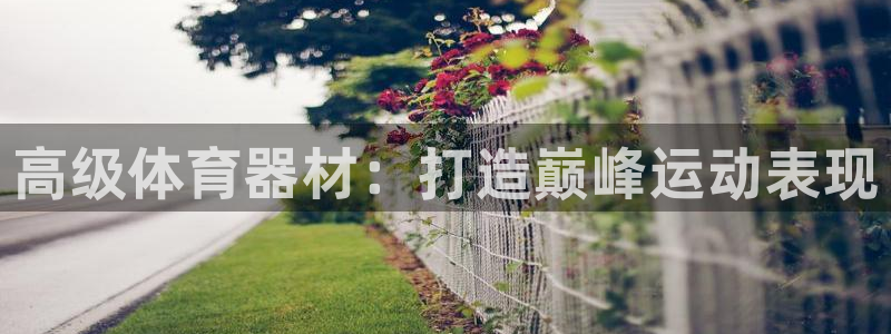 耀世开盘：高级体育器材：打造巅峰运动表现