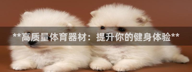 耀世娱乐是不是很黑呀：**高质量体育器材：提升你的健