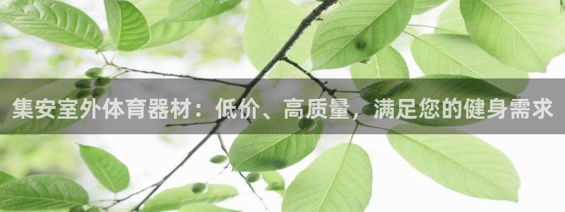 耀世登场的图片：集安室外体育器材：低价、高质量，满足