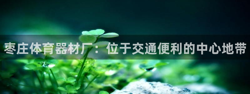 耀世平台理 411o31 平台：枣庄体育器材厂：位于交通便利