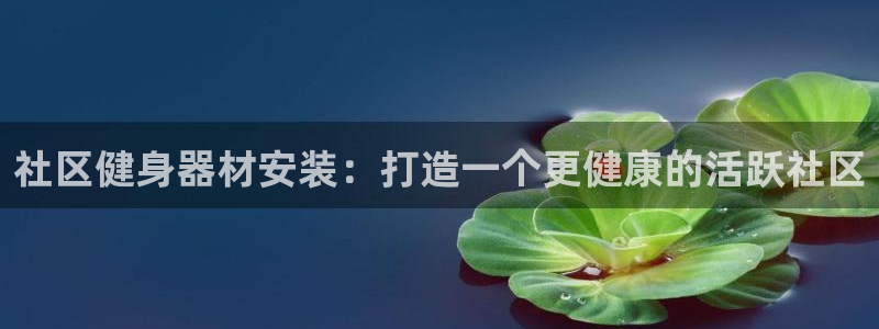 耀世盛典下载：社区健身器材安装：打造一个更健康的活跃