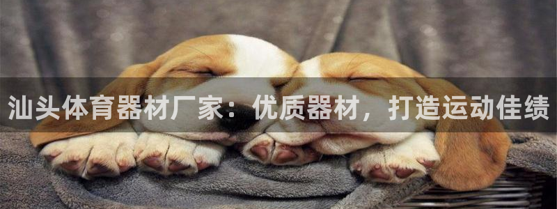耀世平台登录待做7.1.6.5.8.95信用好：汕头体育器材