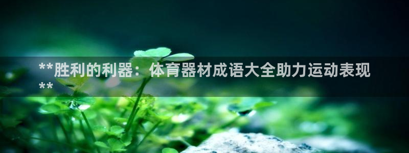 耀世娱乐登录注册流程：**胜利的利器：体育器材成语大