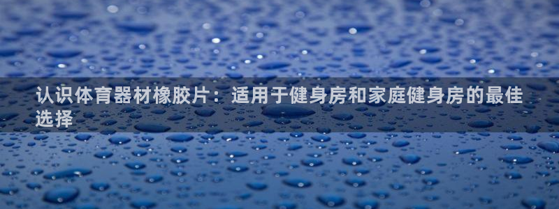 耀世挑战怎么打：认识体育器材橡胶片：适用于健身房和家