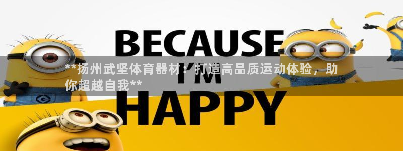 耀世楼盘：**扬州武坚体育器材：打造高品质运动体验，