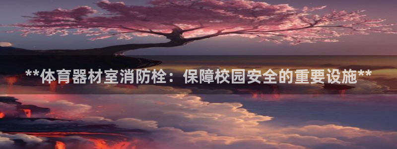 耀世平台代理多少钱一个：**体育器材室消防栓：保障校园安全的