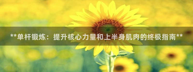 耀世娱乐提款怎么取消：**单杆锻炼：提升核心力量和上半身肌肉