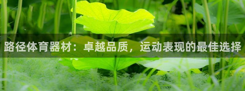 耀世登场之类的广告词：路径体育器材：卓越品质，运动表