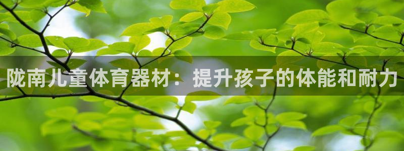 耀世娱乐佳 5O6917 娱乐：陇南儿童体育器材：提
